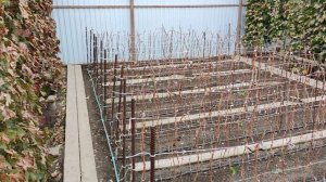 МОЯ ШКОЛКА ПЕРЕД ВЫКОПКОЙ!🍇🍇🍇.mp4 WhatsApp и Viber +79528500417.ТЕЛ.+79054033245.