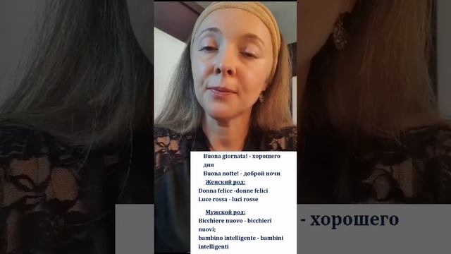 Связка существительное и прилагательное в итальянском языке. Итальянская грамматика.