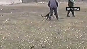 Как правильно выбрать щенка. How to choose a puppy properly.