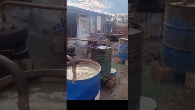 🔴 Angajez urgent degustător profesionist sau începător...🤣🤣🤣🤣