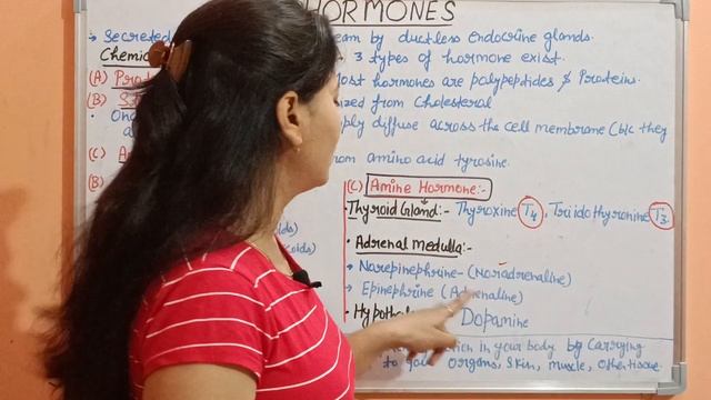 HORMONES - ( TYPES & FUNCTION  1- PEPTIDE HORMONE ; 2- STEROID HORMONES; 3- AMINE HORMONE )