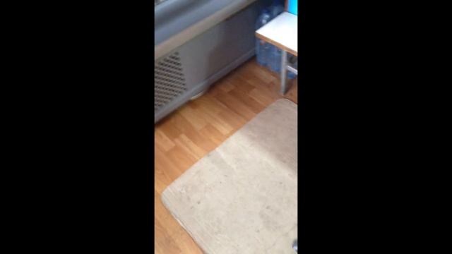 Говоримо англійською в магазині