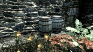 The Elder Scrolls V: Skyrim. Тайники вора в Рифтене. Прохождение от SAFa