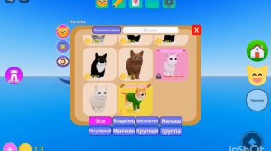 играем в игру ~°Игра с котятами°~(простите за голос)