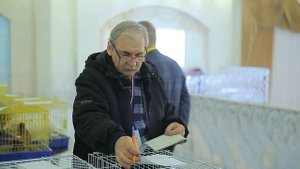 Выставка-ярмарка голубей в Новосибирске 2024. Голубеводы Сибири