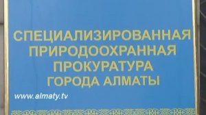 Фото на память