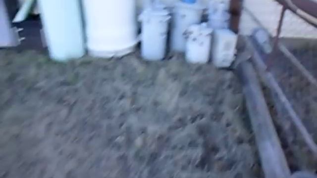 BroMikey video for Gerard replication