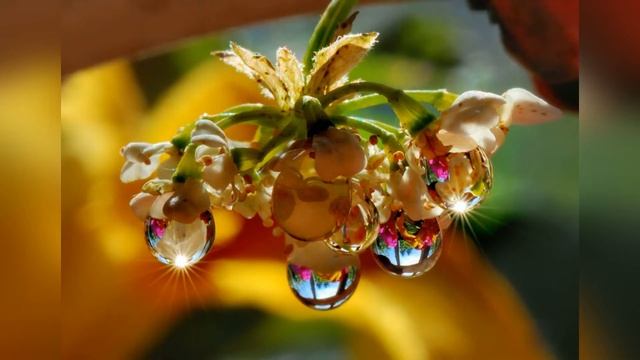 Cover version "Чаша Жизни" - 2022 от N@t@lY Kov@LSKY смотреть онлайн