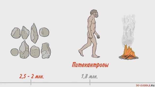 Происхождение человека. Антропогенез.