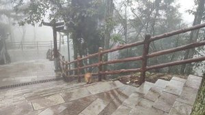 Горы Аватара (Чжанцзяцзе) в плохую погоду: канатная дорога, туман, обезьяны, самый высокий лифт