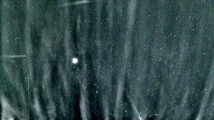 космический зонд паркер снял корону солнца