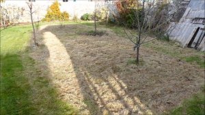 Creating Tree Rings And Annual Cut Of Meadow