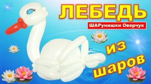 Лебедь из воздушных шаров своими руками. Мастер класс. DIY balloon swan. Master class. Diy. How make