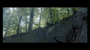 Смерть воина