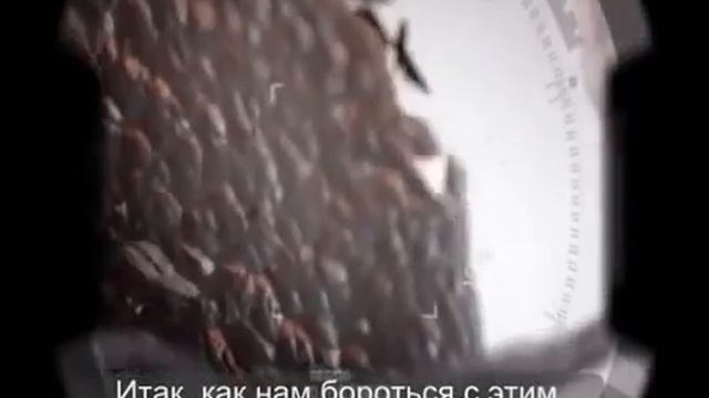 Финити омоложение на клеточном уровне #Jeunesse (русские титры)