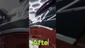 Sonax Polymer NetShield Result Before And After Paint Correction