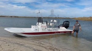 The Shallow Stalker CAT 204