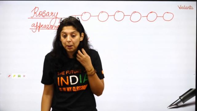 Replication | Molecular Basis of Inheritance | CBSE Class 11 Biology Chapter 9 | NEET 2020