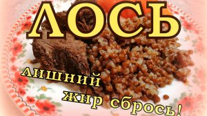 ЛОСЯТИНА вкусНЯТина / Готовим ДИЧЬ/ ПРАВИЛЬНО