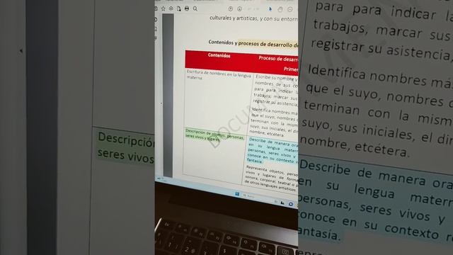 Qué son los PDA o Procesos de Desarrollo de Aprendizaje Taller Julio 2023 смотреть онлайн