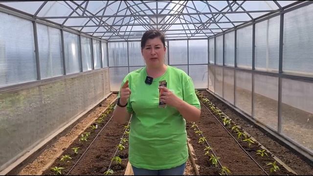 ТОП-4 лучших сортов сладкого перца. Сорта перца для фарширования и паприки. смотреть онлайн