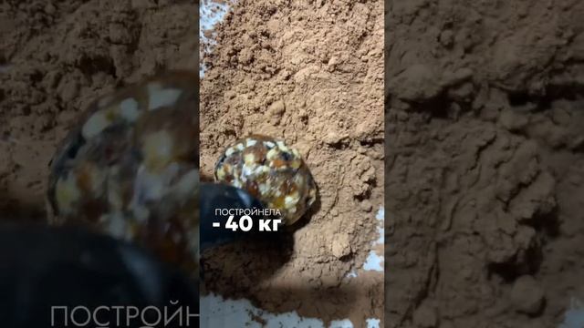 #лишнийвес #рецепты #каксброситьвес #рецепт #белок #аскеза #ппрецепты #диета #еда #вкусно