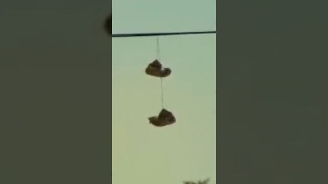 зачем кидают кроссовки со связанными шнурками, чтобы они весели на проводах смотреть онлайн