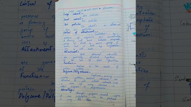 best notes of biology of class 11st year chapter 1 ribosome