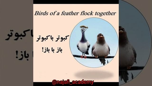 #English Proverb смотреть онлайн