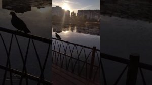 Летом на озере Харовое в Казани