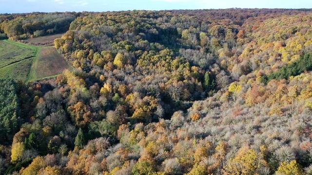 Стать собою смотреть онлайн