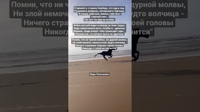 #стихи #вераполозкова #свет