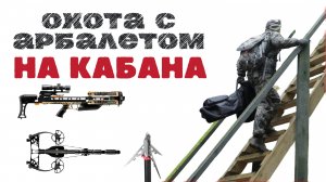 Охота с арбалетом на кабана! 2024