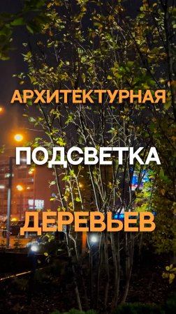 Архитектурная подсветка деревьев