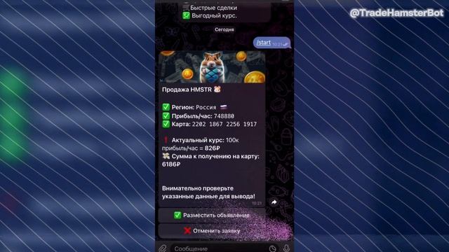 ВЫВОД ДЕНЕГ С HAMSTER KOMBAT | КАК ВЫВСЕТИ ДЕНЬГИ С ХОМЯКА