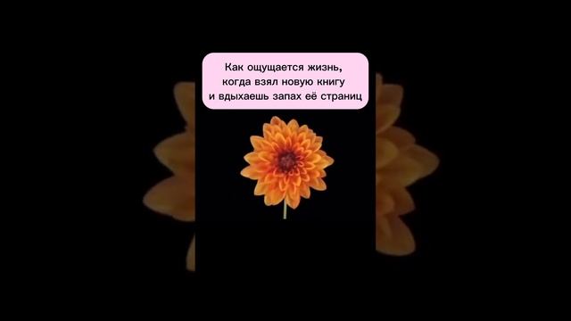 Аромат новых книг...