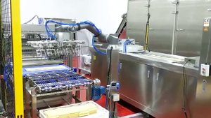Применение коллаборативного робота TM Robot в пищепроме