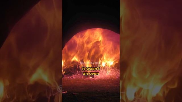 Beyond the Fire: Descartes's Philosophical Journey in the Oven #quotes #quoteoftheday #lifequotes смотреть онлайн