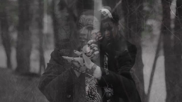 Метаморфозы Природы ❄️ 🌳 🌚🌝