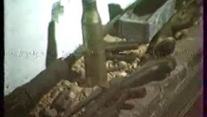 Три дня в Чукотском погранотряде