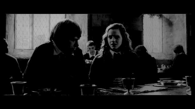 Draco and Hermione Platinum and chocolate