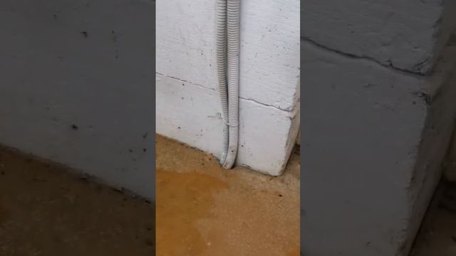 Вышибает УЗО при включении отопления XLpipe #отопление #тёплыйпол #xlpipe #строительство #тверь смотреть онлайн