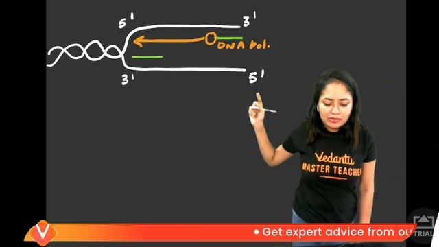 Molecular Basis of Inheritance | L3 DNA Replication | Plus Two Biology Ch 6 | NEET 2023 |Vedantu