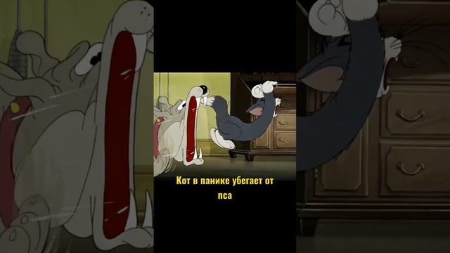 Как быстро и чётко формулировать мысли смотреть онлайн