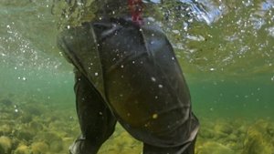 REDINGTON | SONIC PRO HD Waders