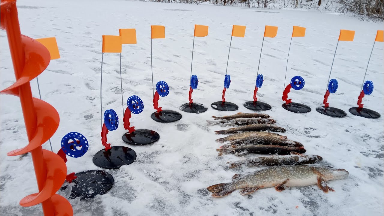 Щука сошла сума, бешеный жор зубастой по первому льду, сезон 2023-2024 г. смотреть онлайн