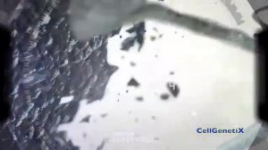 Cell Genetix | BIOHAKING | Омоложение на клеточном уровне | Клеточное питание | AGenYZ | Теломеры |