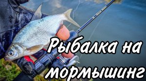 Рыбалка на мормышинг . Рыбалка на мормышку летом . Рыбалка 2024 . Рыбалка на наноджиг . Ультралайт .