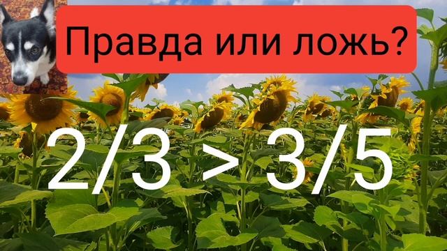 Истинно или ложно?#математика#логика#головоломка#неравенства#задачананеравенства#математическаязада