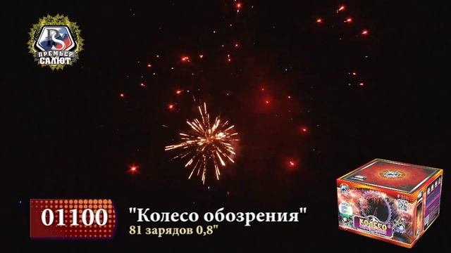 01100 Колесо Обозрения